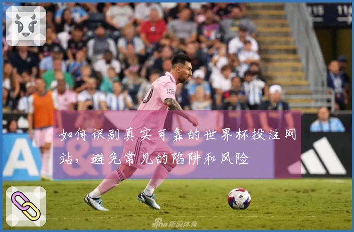 如何识别真实可靠的世界杯投注网站,避免常见的陷阱和风险