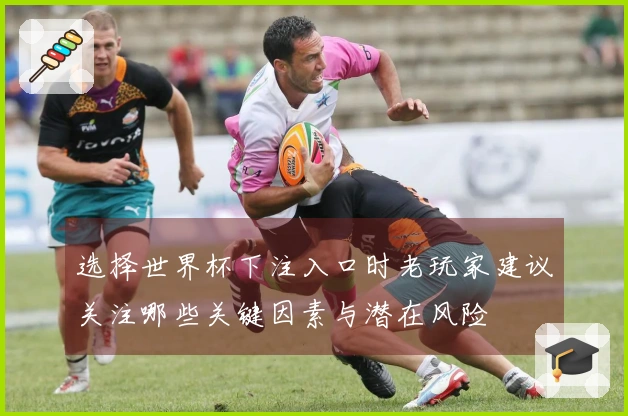 选择世界杯下注入口时老玩家建议关注哪些关键因素与潜在风险
